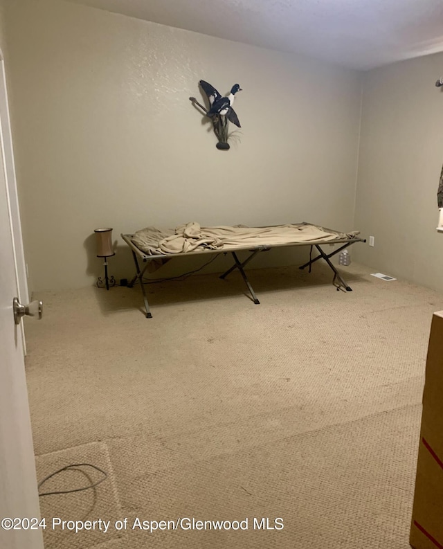 miscellaneous room featuring carpet