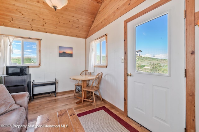1210 County Road 103, Craig, CO 81625 - foyer entrance with vaulted ceiling, plenty of natural light, light wood-type flooring, wooden ceiling, and baseboards