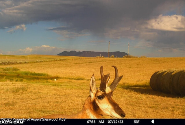 1210 County Road 103, Craig, CO 81625 - view of yard with a rural view and a mountain view