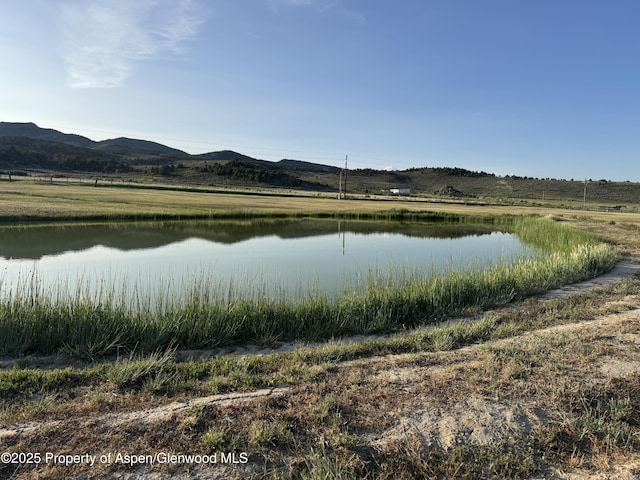 6255 County Road 7, Meeker, CO 81641 - photo 42