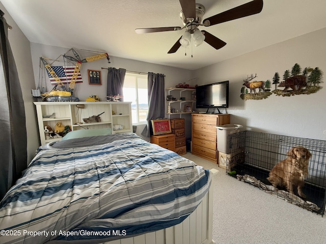 6255 County Road 7, Meeker, CO 81641 - photo 17