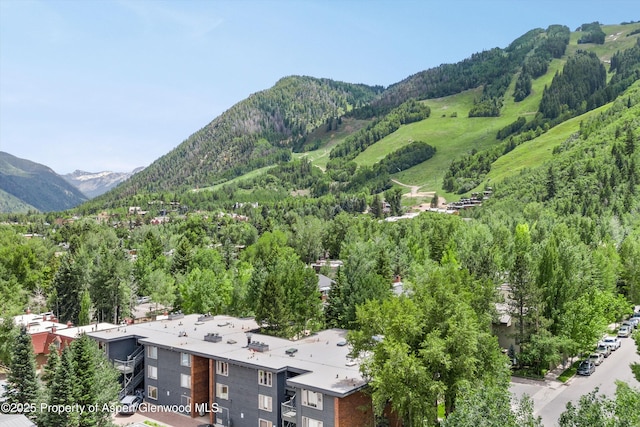 124 W Hyman Ave Unit 3B, Aspen, CO 81611 - mountain view with a forest