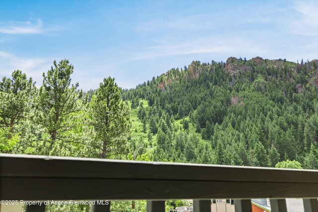 124 W Hyman Ave Unit 3B, Aspen, CO 81611 - mountain view with a heavily wooded area