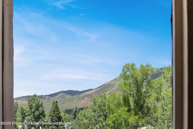 124 W Hyman Ave Unit 3B, Aspen, CO 81611 - view of mountain background