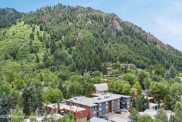 124 W Hyman Ave Unit 3B, Aspen, CO 81611 - mountain view featuring a forest