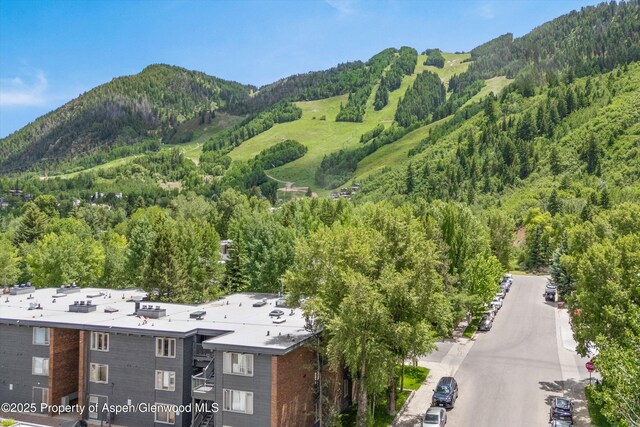 124 W Hyman Ave Unit 3B, Aspen, CO 81611 - view of mountain background featuring a forest