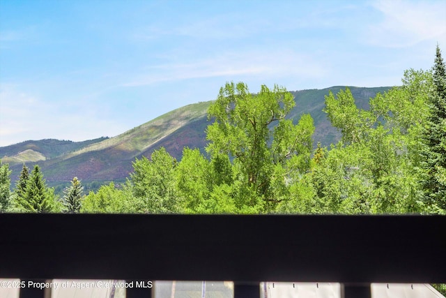 124 W Hyman Ave Unit 3B, Aspen, CO 81611 - view of mountain backdrop