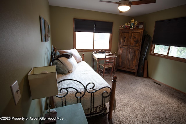 212 Safflower Ct, New Castle, CO 81647 - bedroom featuring multiple windows, carpet flooring, and ceiling fan