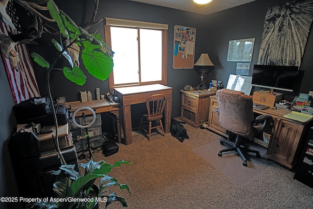 212 Safflower Ct, New Castle, CO 81647 - view of carpeted home office