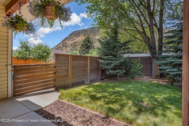 355 Rio Grande Ave, New Castle, CO 81647 - photo 20
