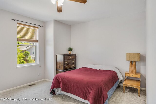 355 Rio Grande Ave, New Castle, CO 81647 - photo 10