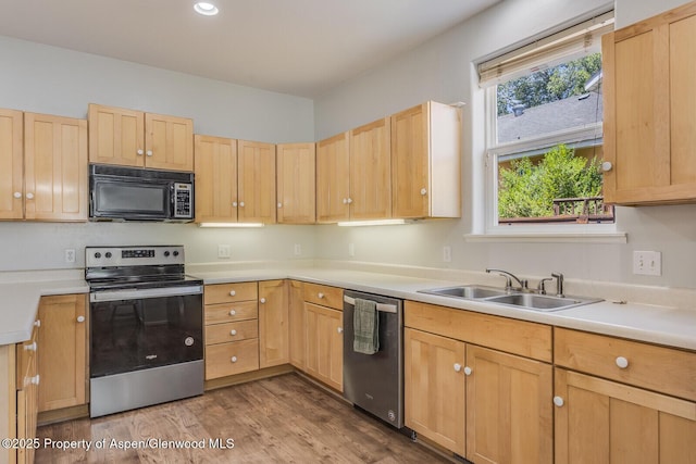 355 Rio Grande Ave, New Castle, CO 81647 - photo 4