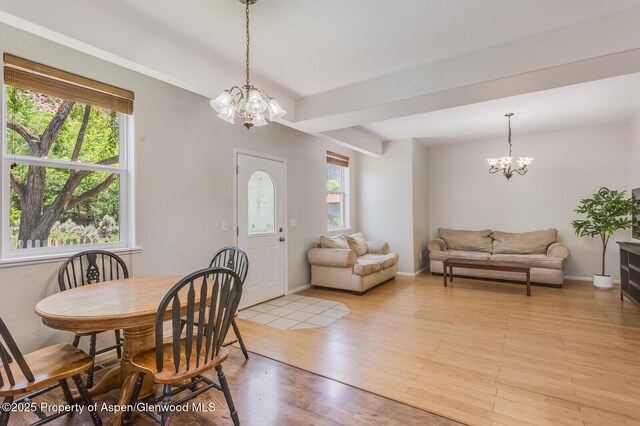 355 Rio Grande Ave, New Castle, CO 81647 - photo 5