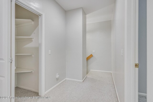 355 Rio Grande Ave, New Castle, CO 81647 - photo 18