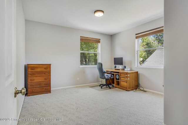 355 Rio Grande Ave, New Castle, CO 81647 - photo 15