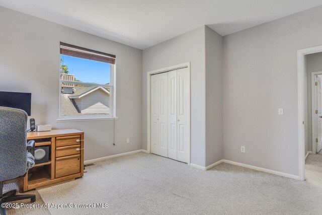 355 Rio Grande Ave, New Castle, CO 81647 - photo 16