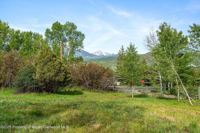 108 Trentaz Dr, Aspen, CO 81611 - photo 19