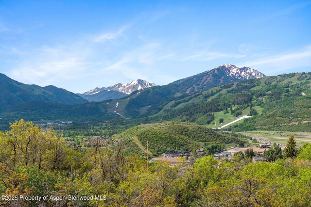 108 Trentaz Dr, Aspen, CO 81611 - photo 13