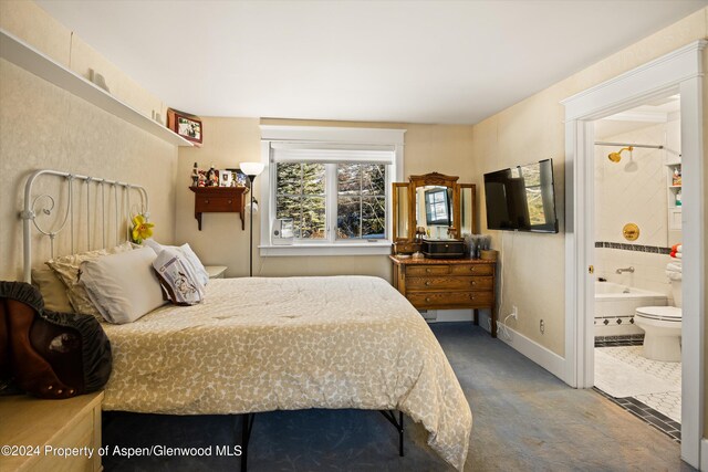 108 Trentaz Dr, Aspen, CO 81611 - photo 44