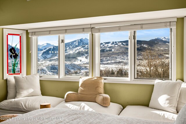 108 Trentaz Dr, Aspen, CO 81611 - photo 41