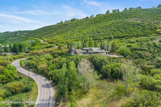 108 Trentaz Dr, Aspen, CO 81611 - photo 25