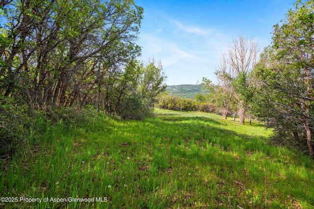 108 Trentaz Dr, Aspen, CO 81611 - photo 26