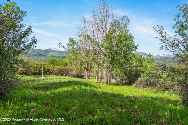108 Trentaz Dr, Aspen, CO 81611 - photo 23