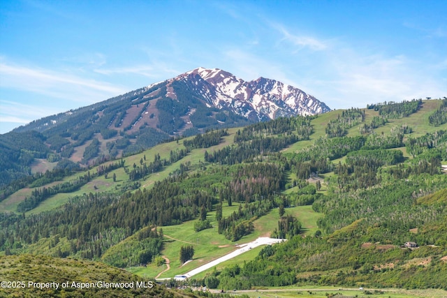 108 Trentaz Dr, Aspen, CO 81611 - photo 11