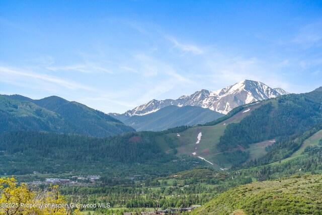 108 Trentaz Dr, Aspen, CO 81611 - photo 12