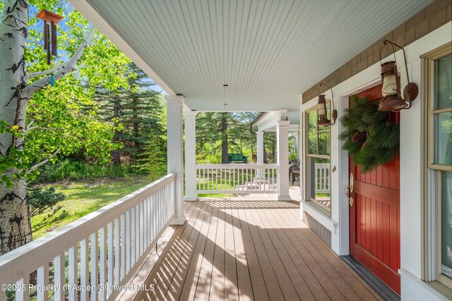 108 Trentaz Dr, Aspen, CO 81611 - photo 7