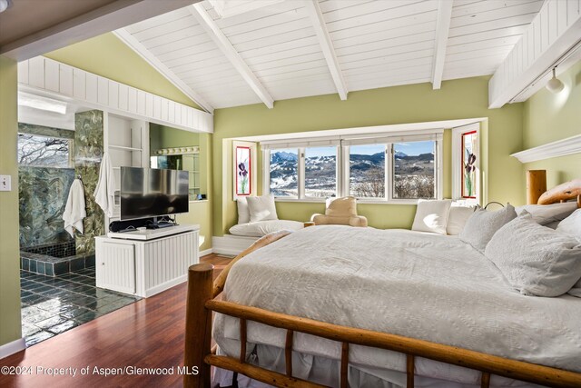 108 Trentaz Dr, Aspen, CO 81611 - photo 40