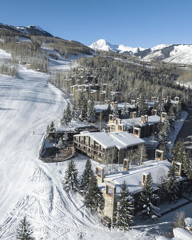 690 Carriage Way Unit B2G, Snowmass Village, CO 81615 - photo 1