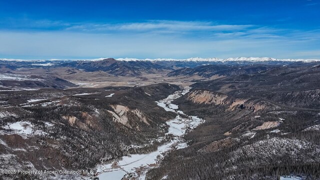 2418 Usfs Rd Unit 526, Creede, CO 81130 - mountain view