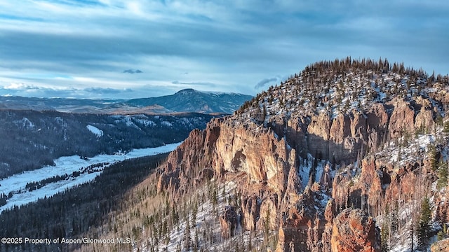 2418 Usfs Rd Unit 526, Creede, CO 81130 - mountain view