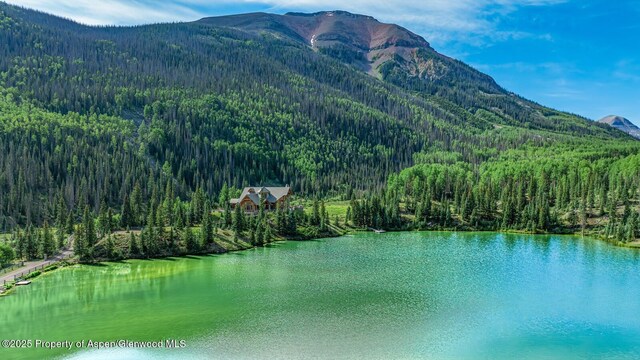 2418 Usfs Rd Unit 526, Creede, CO 81130 - photo 27