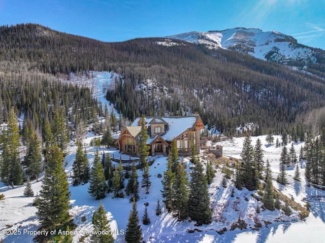 2418 Usfs Rd Unit 526, Creede, CO 81130 - photo 60