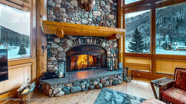 2418 Usfs Rd Unit 526, Creede, CO 81130 - detailed view of a fireplace and wood finished floors
