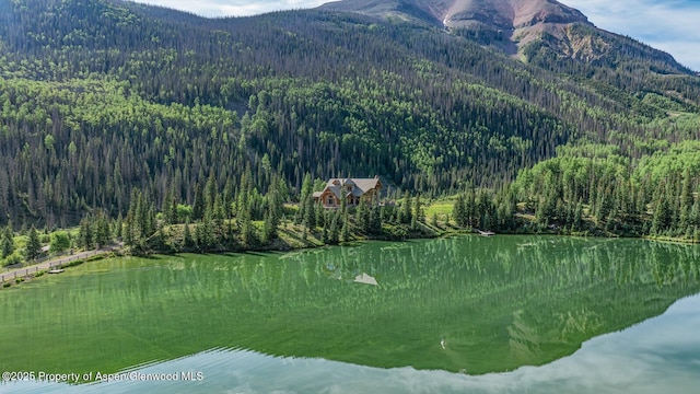 2418 Usfs Rd Unit 526, Creede, CO 81130 - photo 30
