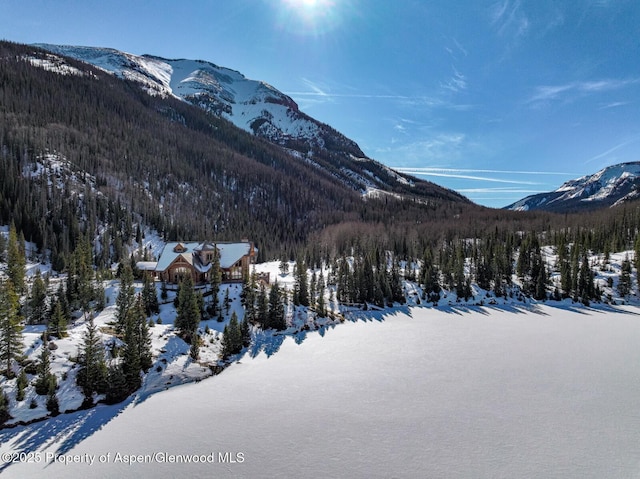 2418 Usfs Rd Unit 526, Creede, CO 81130 - view of mountain backdrop with a forest