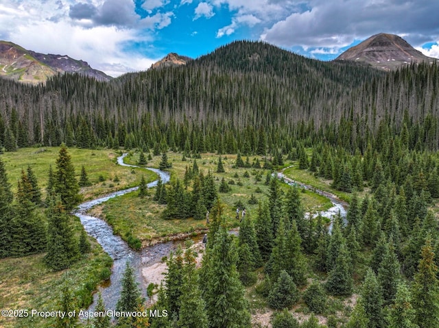 2418 Usfs Rd Unit 526, Creede, CO 81130 - photo 3
