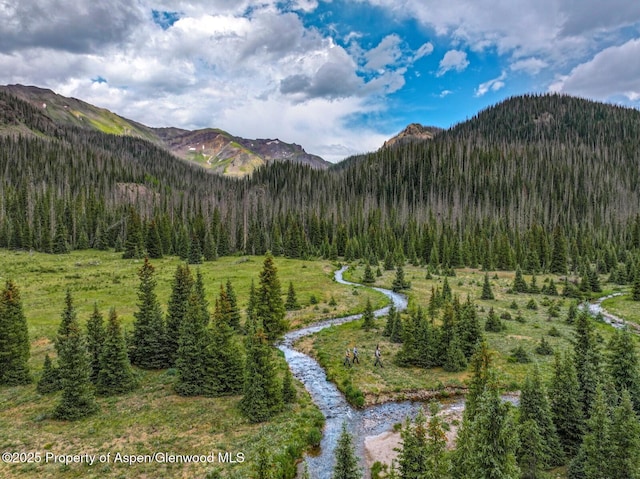 2418 Usfs Rd Unit 526, Creede, CO 81130 - photo 33
