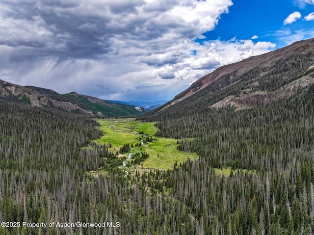 2418 Usfs Rd Unit 526, Creede, CO 81130 - photo 39