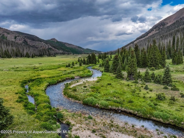 2418 Usfs Rd Unit 526, Creede, CO 81130 - photo 40