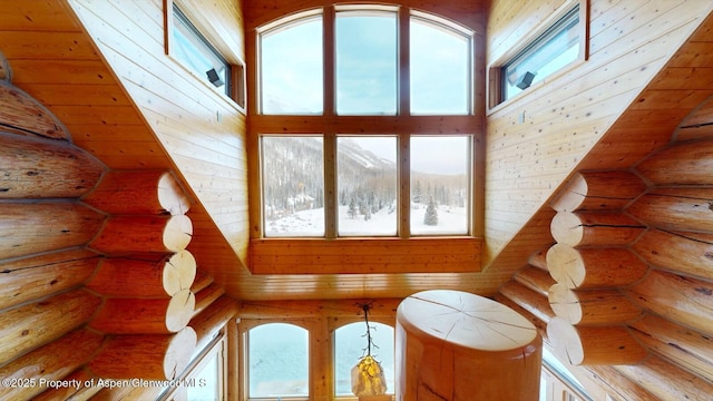 2418 Usfs Rd Unit 526, Creede, CO 81130 - living area with rustic walls and a towering ceiling
