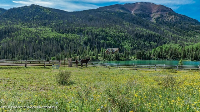 2418 Usfs Rd Unit 526, Creede, CO 81130 - photo 22