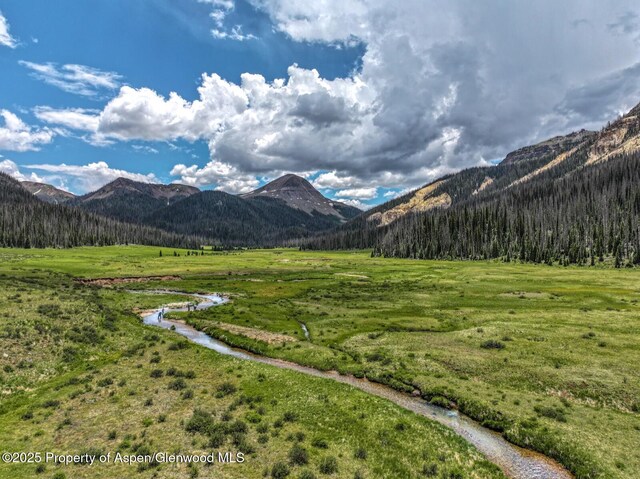2418 Usfs Rd Unit 526, Creede, CO 81130 - photo 41