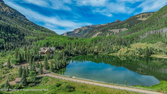 2418 Usfs Rd Unit 526, Creede, CO 81130 - photo 31
