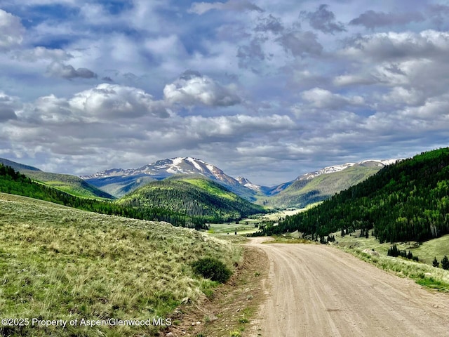2418 Usfs Rd Unit 526, Creede, CO 81130 - view of mountain background
