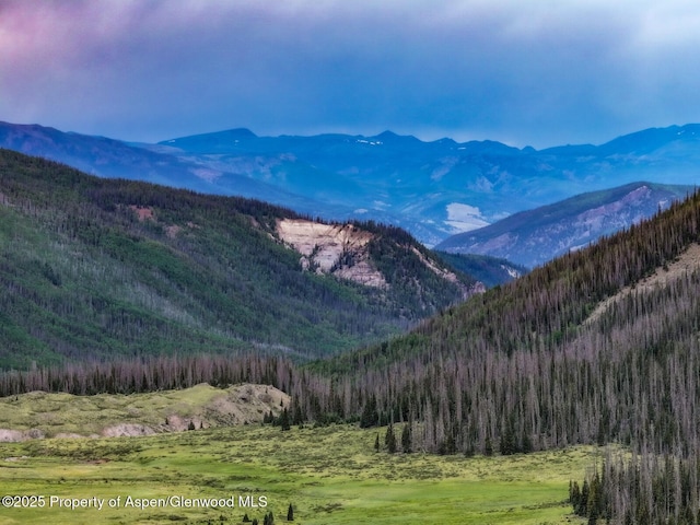 2418 Usfs Rd Unit 526, Creede, CO 81130 - photo 37
