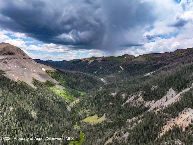 2418 Usfs Rd Unit 526, Creede, CO 81130 - photo 34